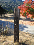 real estate, real estate broker, CAR, MCAR, monterey bay real estate, photography, web design, art, buy a home, sell a home